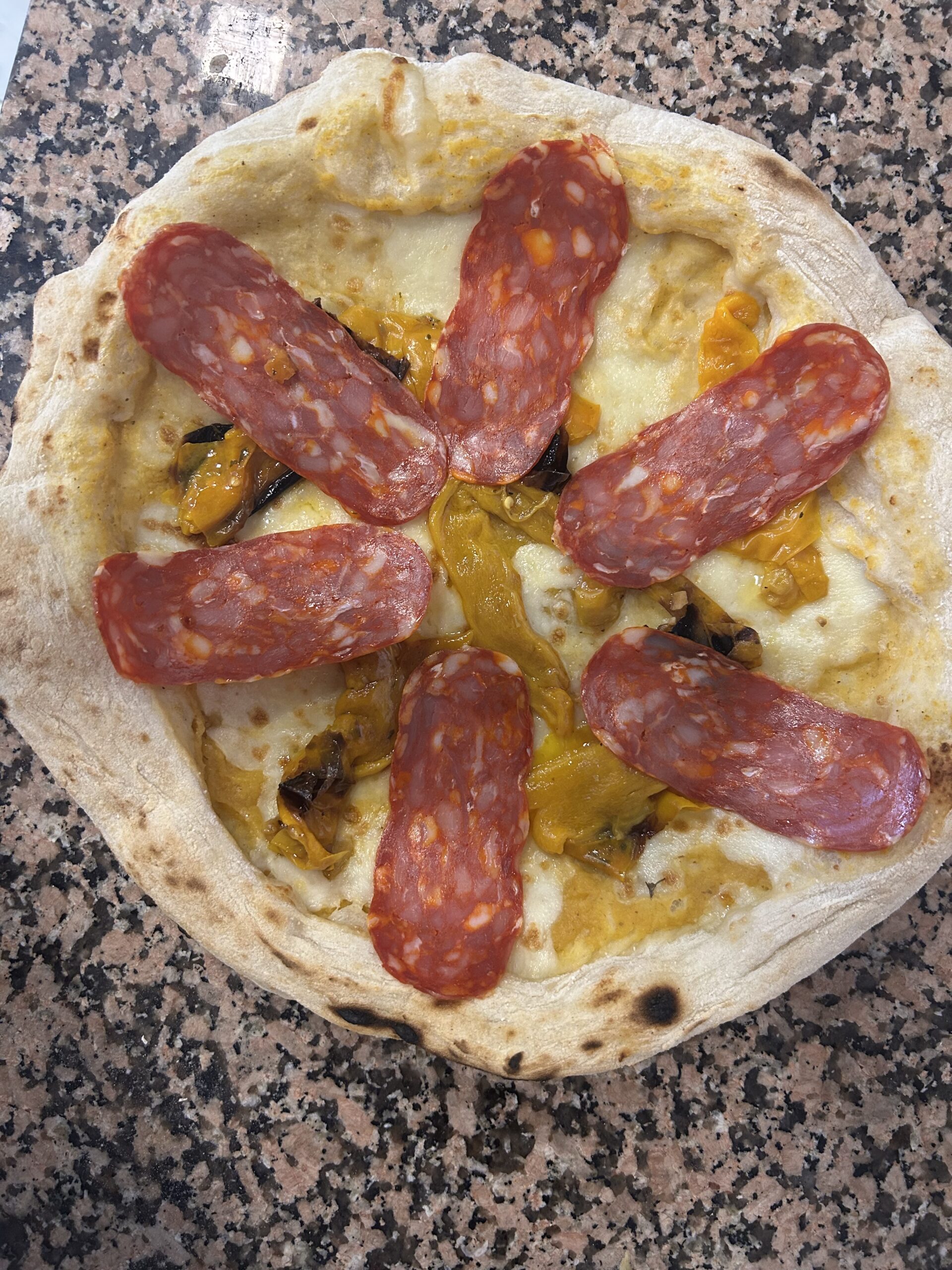 Pizza Meirier Livraison Pizza A Hyeres Pres De Giens IMG 2224